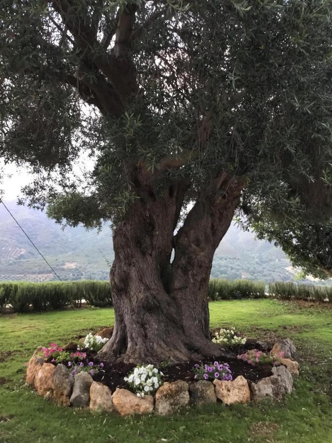 Derés Augusta Country House מראה חיצוני תמונה