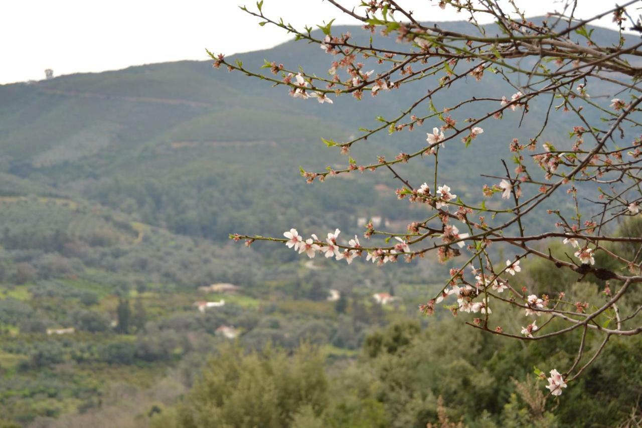 Derés Augusta Country House מראה חיצוני תמונה